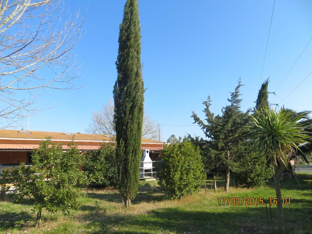 Agriturismo Il Cipresso Vila Vada Exterior foto