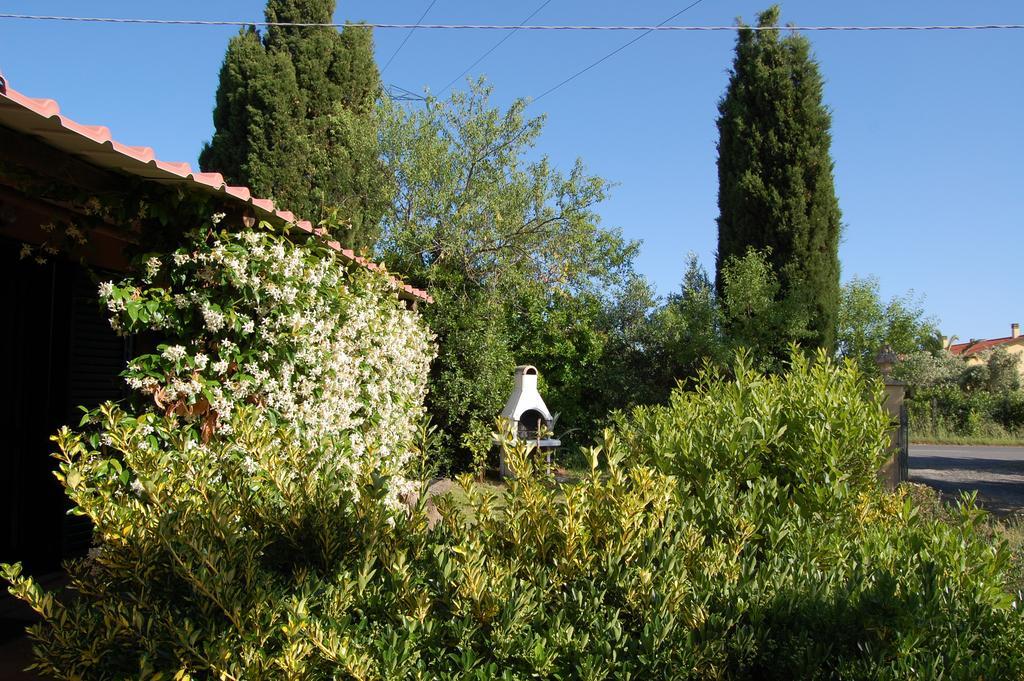 Agriturismo Il Cipresso Vila Vada Exterior foto